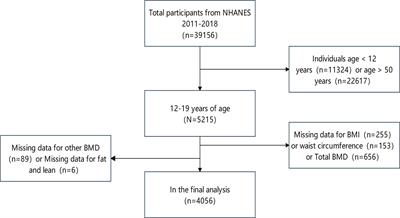 Effect of obesity status on adolescent bone mineral density and saturation effect: A cross-sectional study